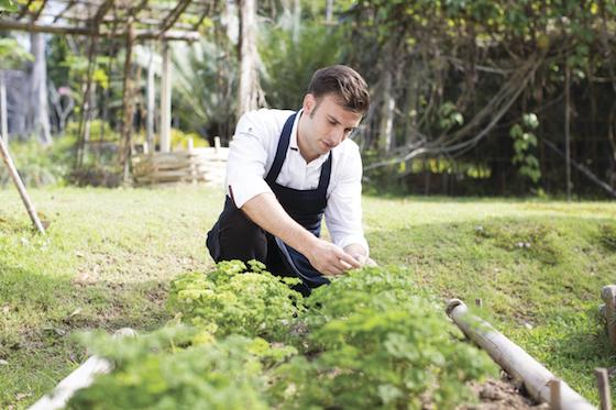 Four Seasons Resort Chiang Mai has direct relationships with suppliers to ensure their claims of sustainability (pictured is the resort's Italian chef, Marco Avesani). 