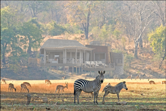 Puku Ridge Camp luxury safari lodge accommodation in South Luangwa National Park in Zambia