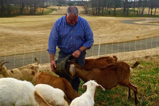 Shawn Jervis with his goats