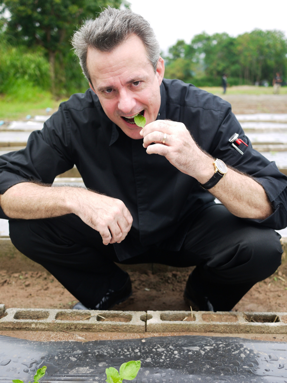 Executive Chef David Bedinghaus is taking a hands-on approach to overseeing the farm. Photos used courtesy of Kirimaya.