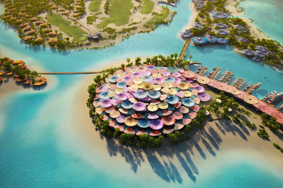 Aerial view of the Coral Bloom concept