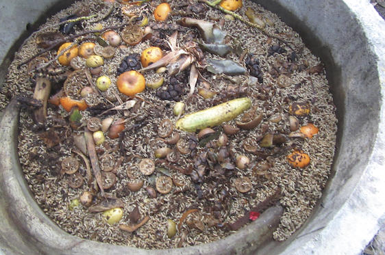 Inside the self-contained composter on Nikoi Island