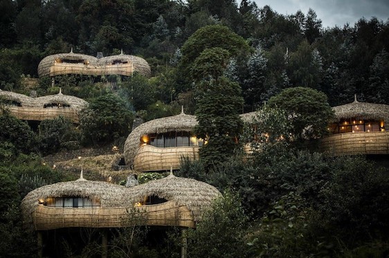 Wilderness Safaris Bisate Lodge, in Volcanoes National Park, Rwanda, is one of Beyond Green member hotels. 