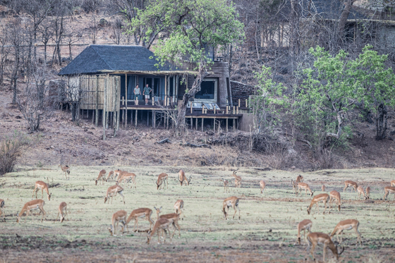 Puku Ridge Lodge at South Luangwa National Park, Zambia (photo credit: Scott Ramsay)