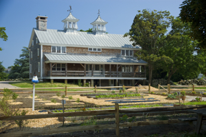 The Ocean House's Avondale Farm 