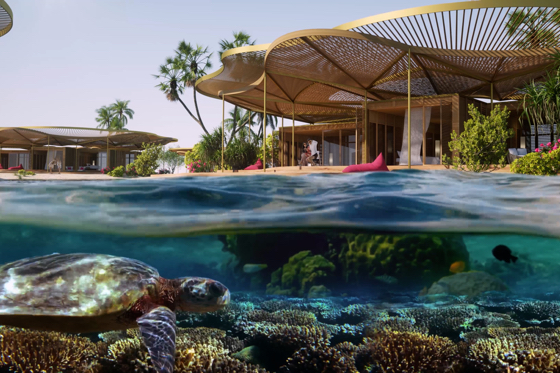 Coral Bloom blends hotel with nature