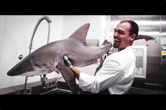 Dahlkemper holds up a shark for inspection. ?
